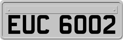 EUC6002