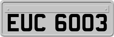 EUC6003