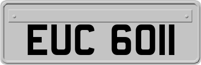 EUC6011