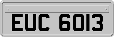 EUC6013