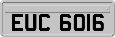 EUC6016