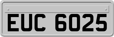 EUC6025