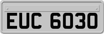 EUC6030