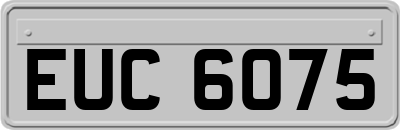EUC6075