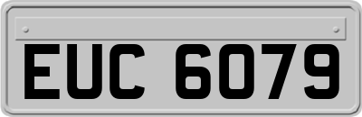 EUC6079