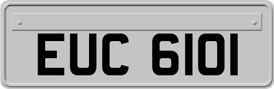EUC6101
