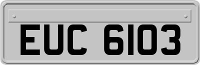 EUC6103
