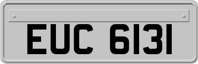 EUC6131