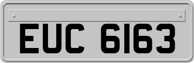 EUC6163