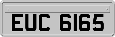 EUC6165