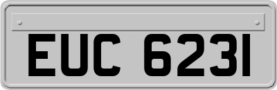 EUC6231