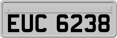 EUC6238