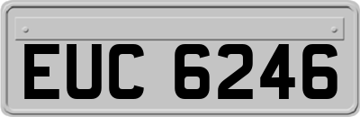 EUC6246