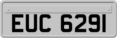 EUC6291