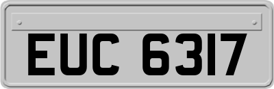 EUC6317