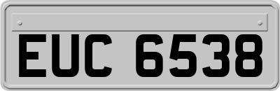 EUC6538