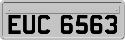 EUC6563