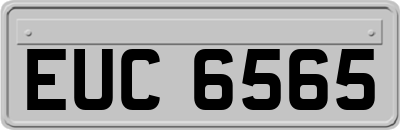 EUC6565