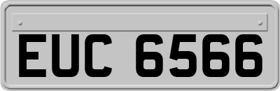 EUC6566