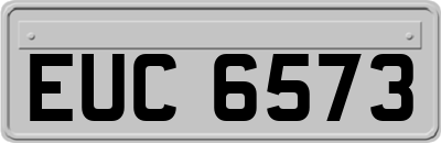 EUC6573