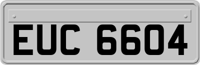 EUC6604