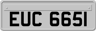 EUC6651