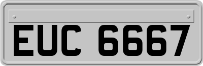 EUC6667