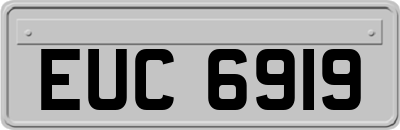 EUC6919