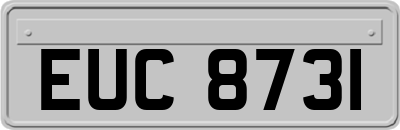 EUC8731