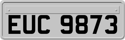 EUC9873