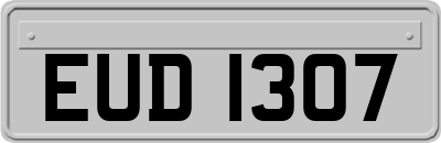 EUD1307
