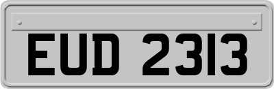 EUD2313