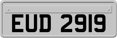 EUD2919