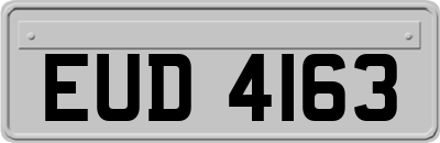 EUD4163
