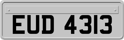 EUD4313