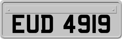 EUD4919