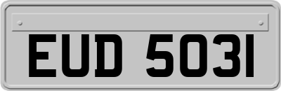 EUD5031