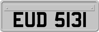 EUD5131