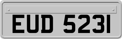 EUD5231