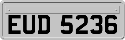 EUD5236