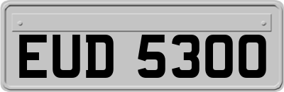 EUD5300
