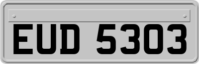 EUD5303