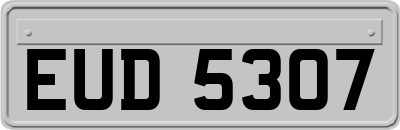 EUD5307