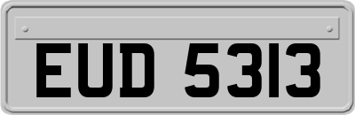 EUD5313