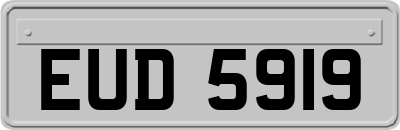 EUD5919
