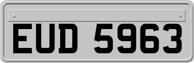 EUD5963