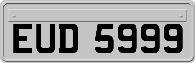EUD5999