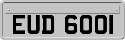 EUD6001