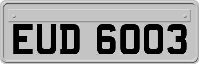 EUD6003