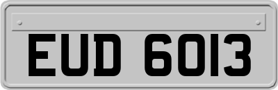 EUD6013